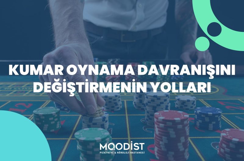 Kumar Oynama Davranışını Değiştirmenin Yolları
